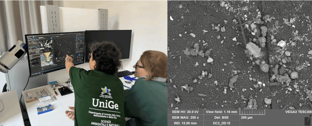 Figura 2. Qui al lavoro al microscopio elettronico a scansione Enrica Roccotiello e la tecnica della microscopia elettronica Elisa Sanguineti (DISTAV). A fianco particolare di foglia con deposizioni di particolato osservato al SEM.